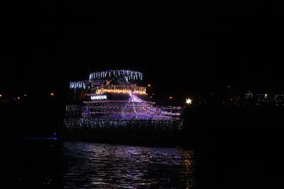 DSC_2499 (Large).JPG